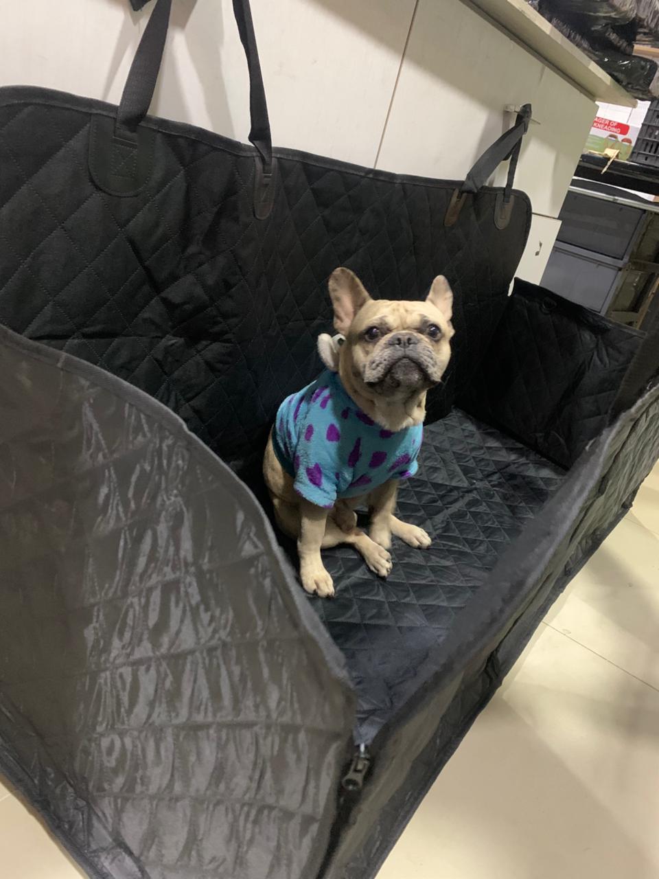 Protector de Asiento para Mascotas 🚗🐾