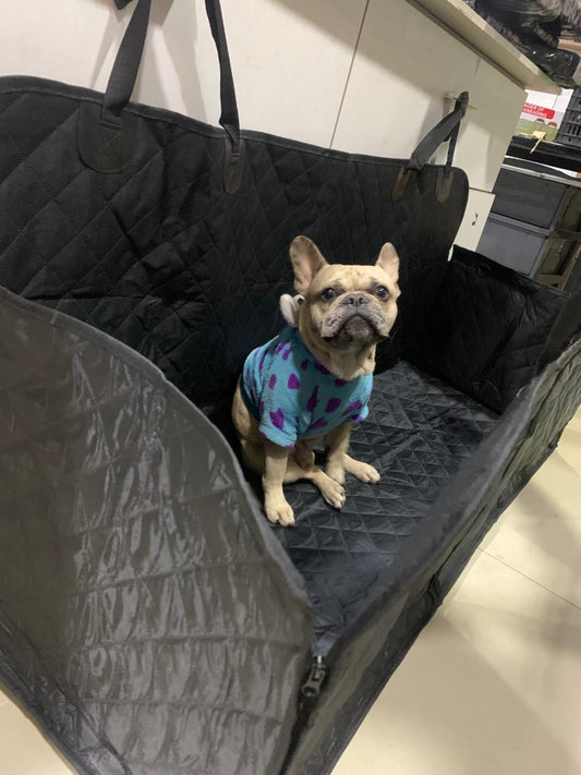 Protector de Asiento para Mascotas 🚗🐾